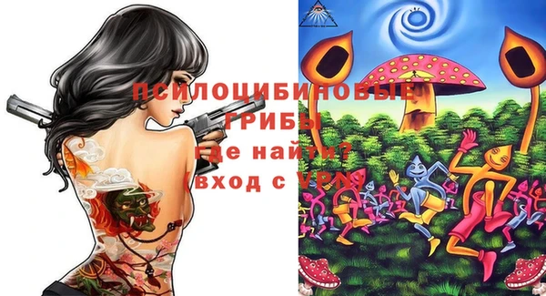 не бодяженный Армянск