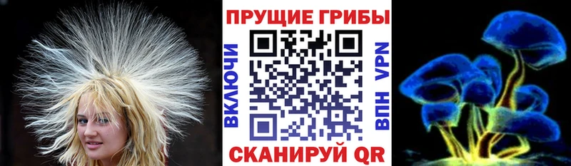 Галлюциногенные грибы Cubensis  купить наркоту  Нижняя Салда 